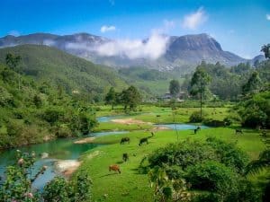 Anamudi Peak in Munnar Kerala