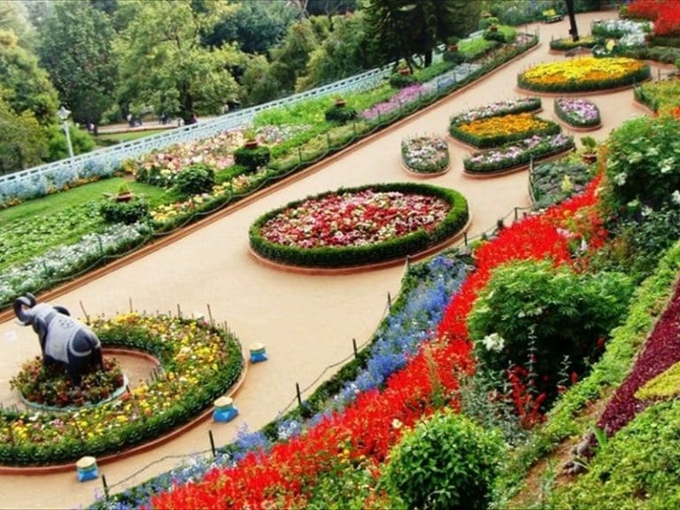 Rose Garden MunnarEntry Fee, Timings, Images & Best Time to Visit