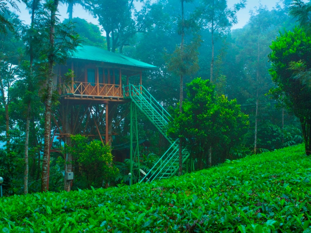 dream-catcher-treehouse-plantation-resort
