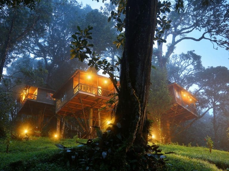Top 9 Best Tree Houses in Munnar Munnar Insider Travel Blog