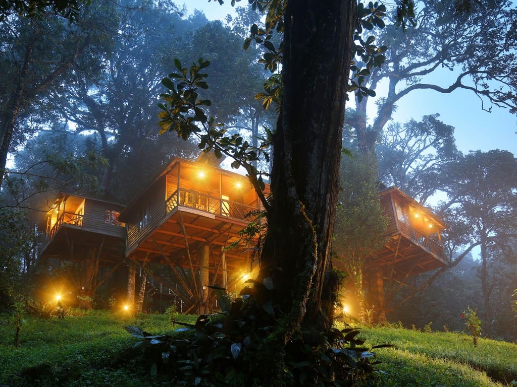 Nature Zone Resort Treehouse