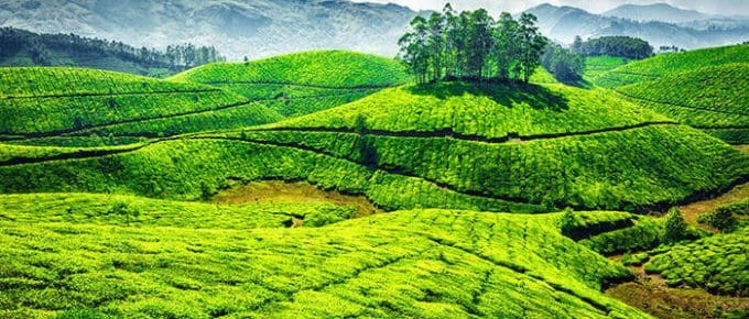 Munnar tourist places