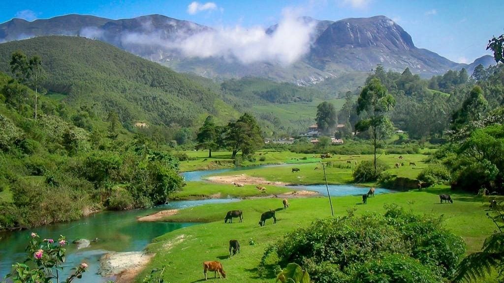 anamudi trek