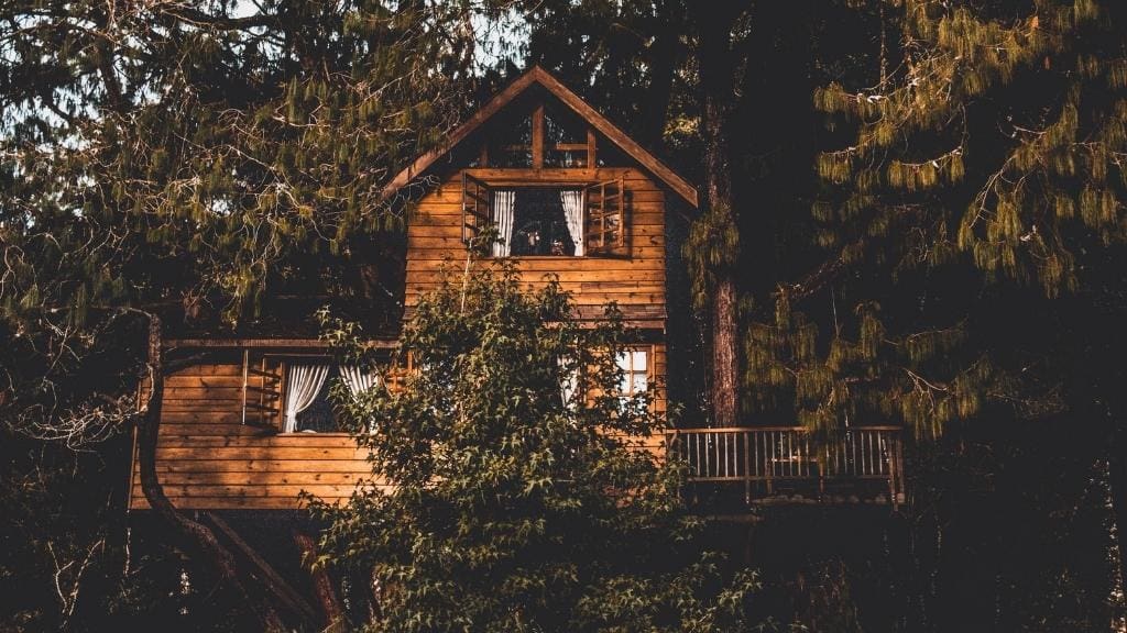Live-in-a-treehouse