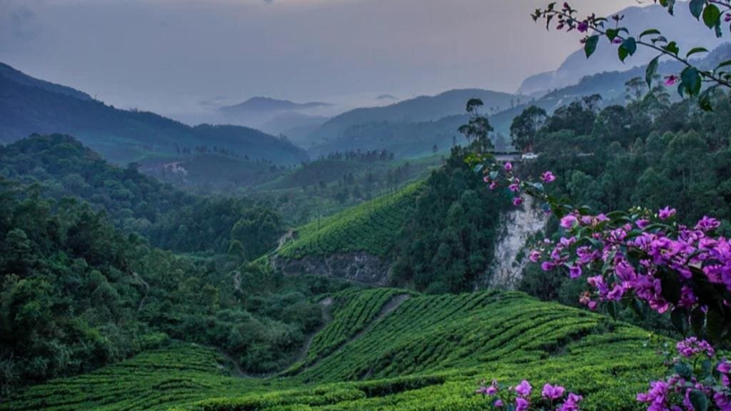 Trekking-at-Anamudi-Peak 