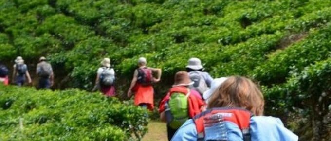munnar-trekking