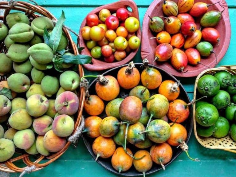 KanthalloorThe Land of Fruits in Munnar Munnar Insider Travel Blog