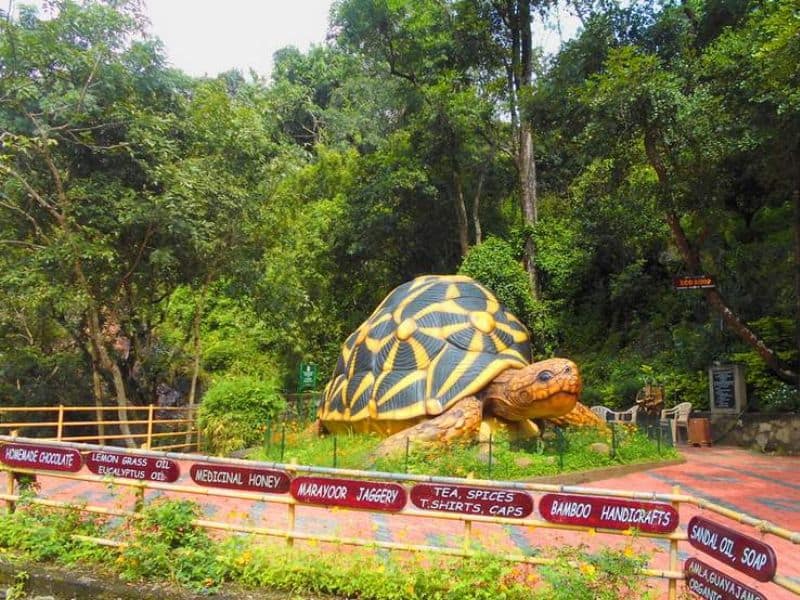 wildlife-century-Kanthalloor