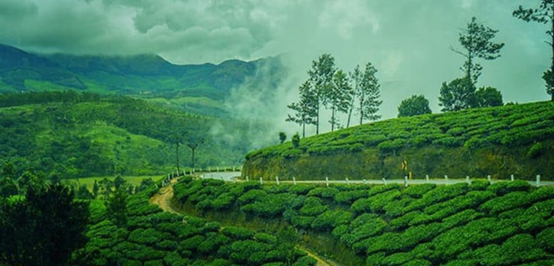 Kanthalloor-The Land of Fruits in Munnar