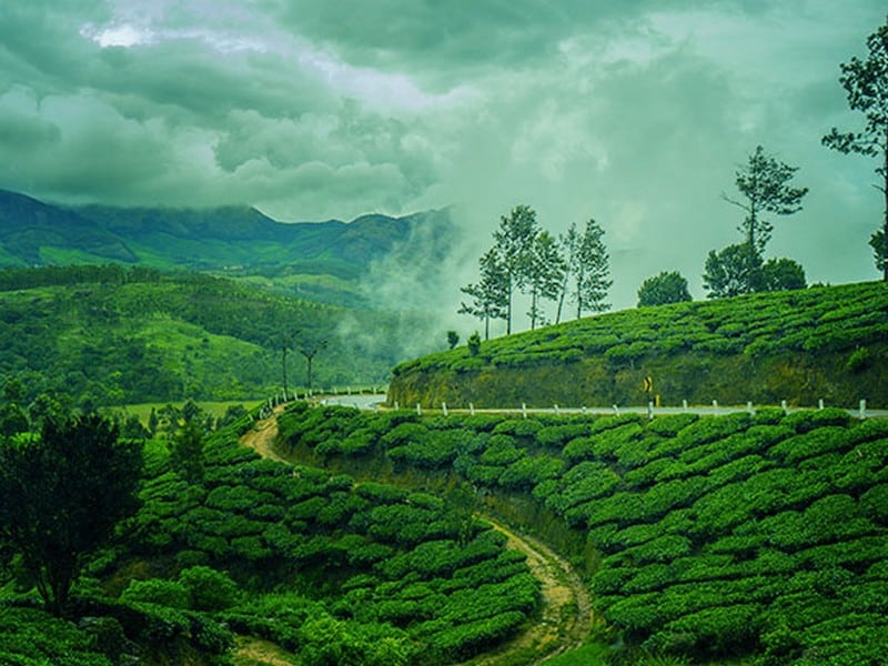 Kanthalloor-The Land of Fruits in Munnar