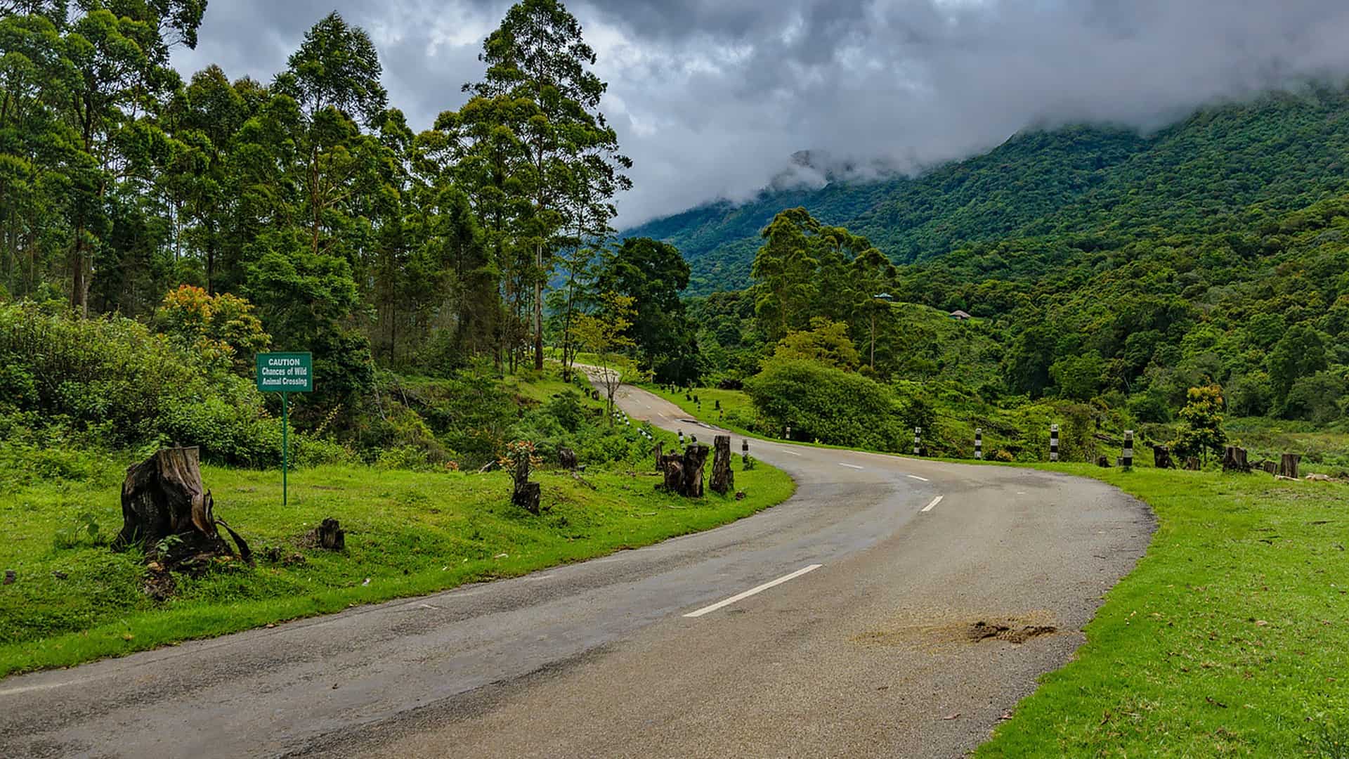 Pampadum-Shola-National-Park