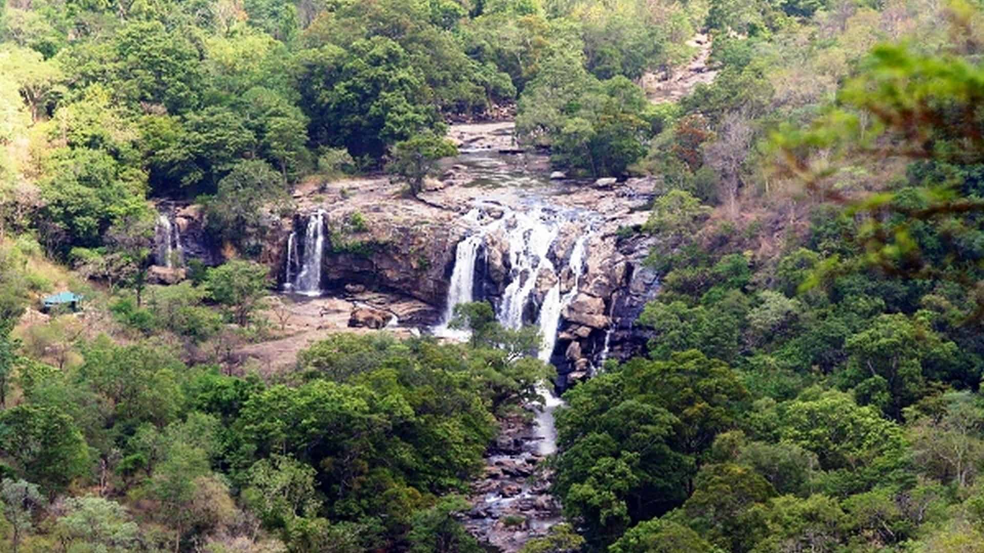 chinnar-wild-sanctuary-munnar