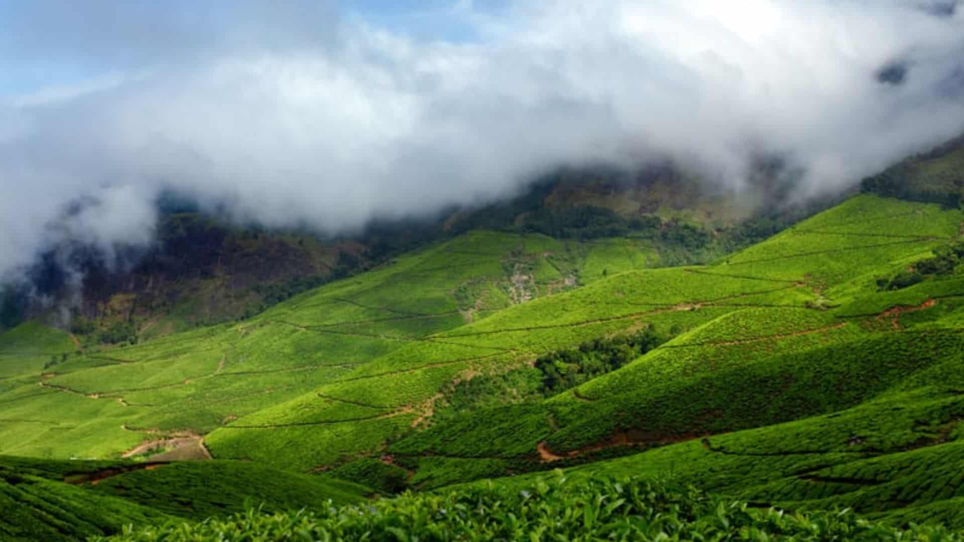 munnar-winter