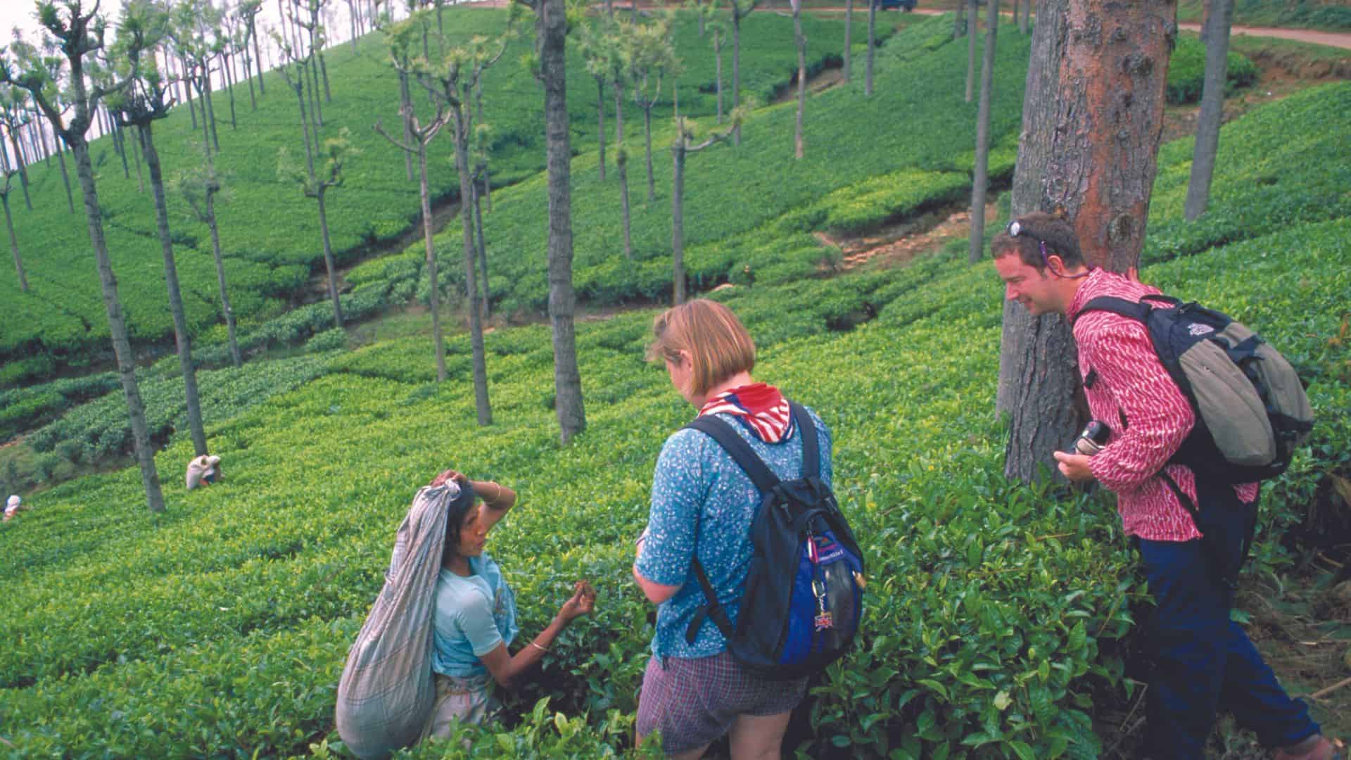 nature-trials-munnar