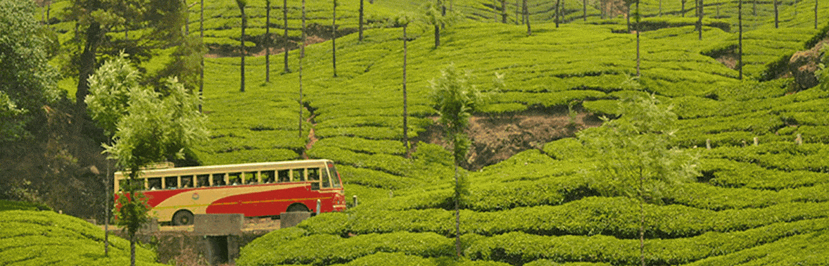 Kochi To Munnar- Sightseeing, Distance, Travel Time & Tips
