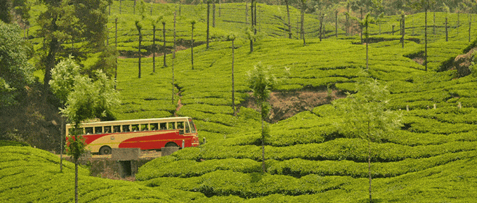kochi-to-munnar