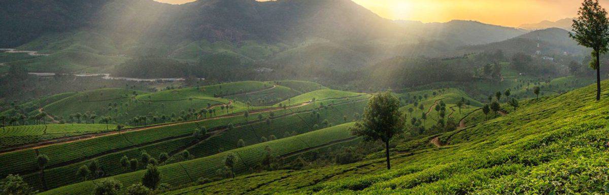 Best Way to Travel From Hyderabad to Munnar