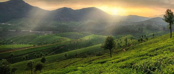 Munnar-kerala