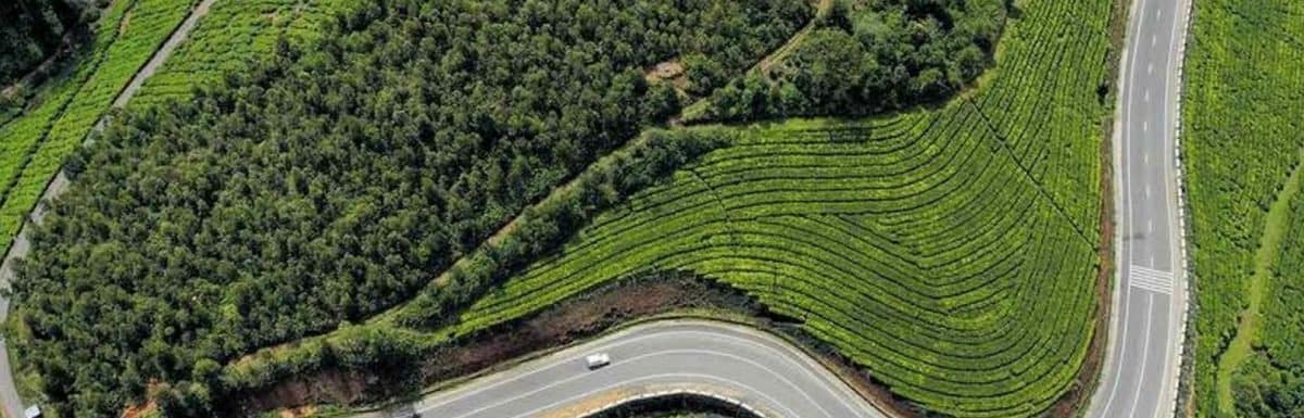 Gap Road Munnar- Photos of Scenic Drive in Kerala That Will Leave You Breathless