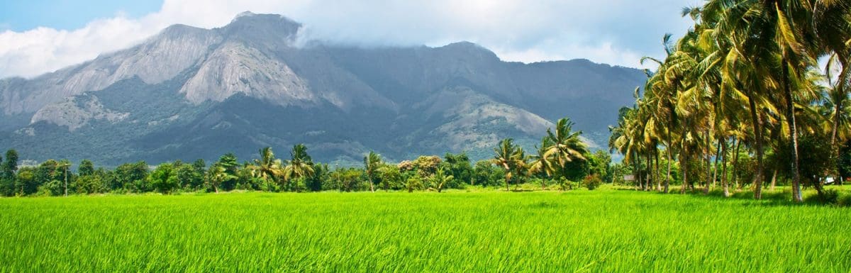 Palakkad To Munnar- A Handy Travel Guide