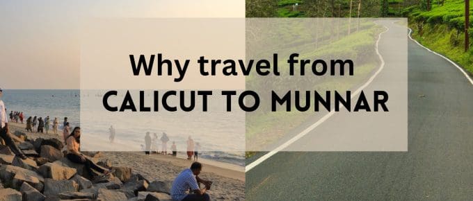 calicut-to-munnar