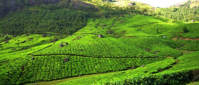 rainy-season-in-munnar