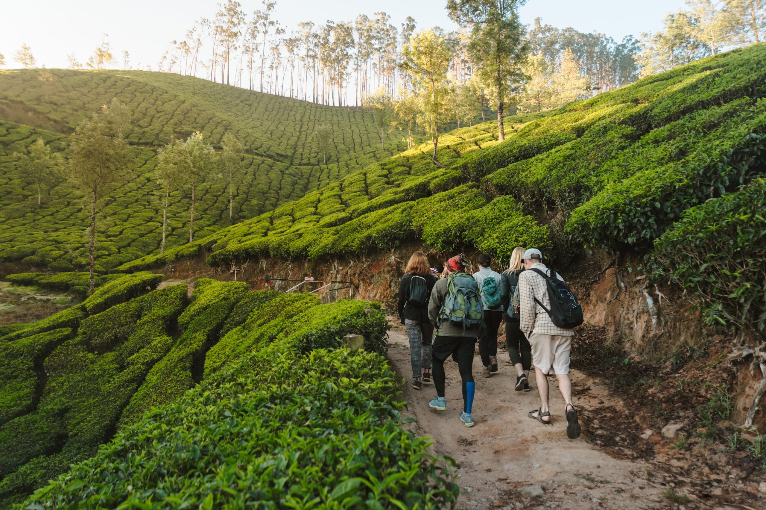 munnar-hiking