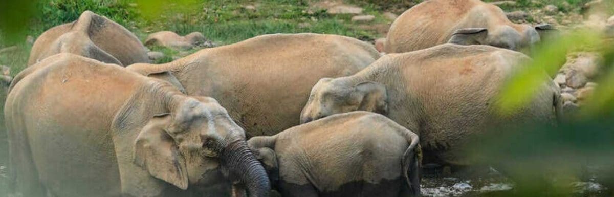 Top 10 Places To Visit In Munnar With Family In 2025