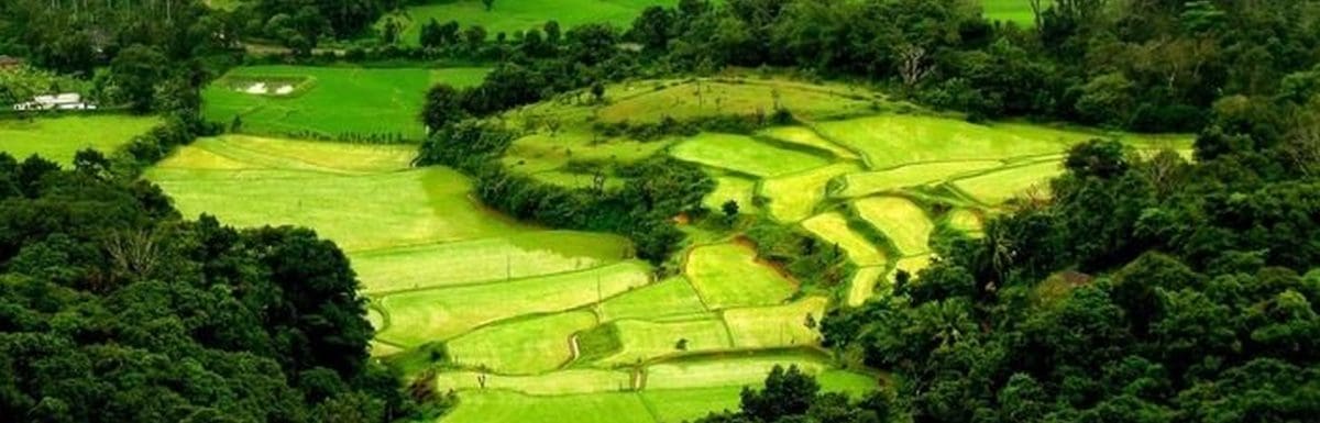 Coorg Or Munnar-Which Is Better For A Trip In 2025?