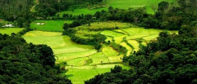 coorg-or-munnar