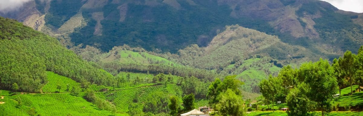 Photo Point Munnar Guide: Getting There, Activities, Tips & More