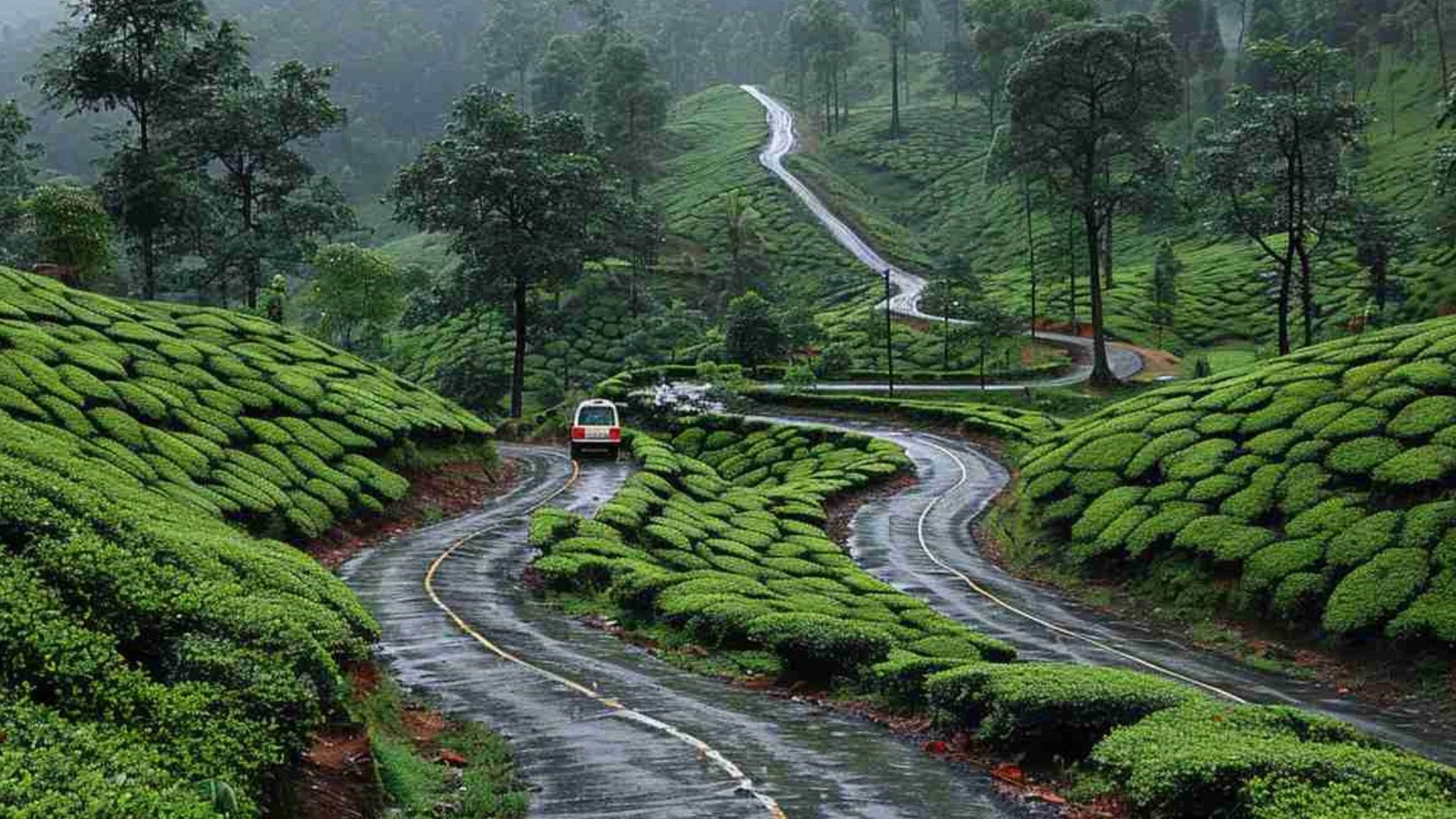 thekkady-road-trip