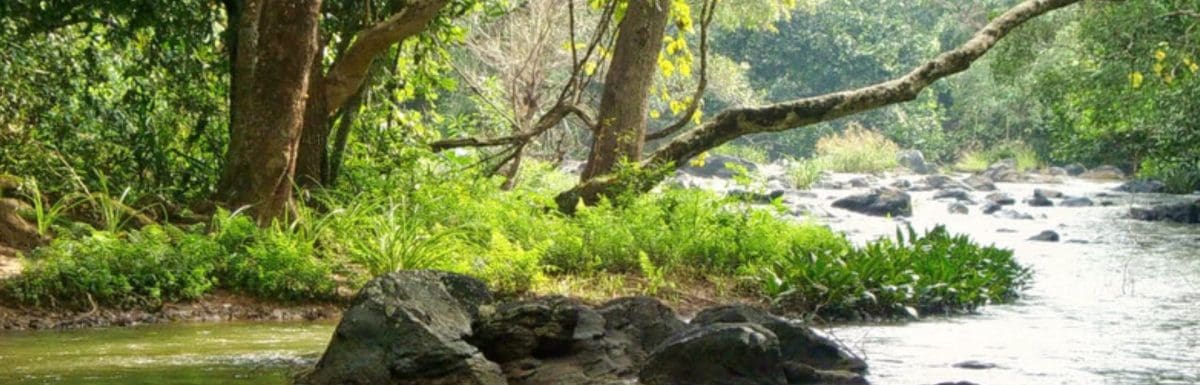 Kuruva Island Wayanad-Timings, History, Entry Fee, Images & Information