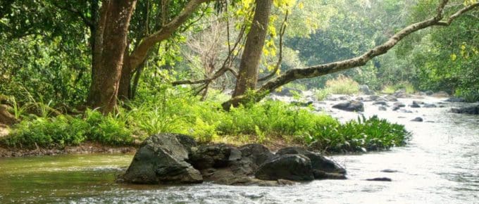 Wayanad-kuruva-island