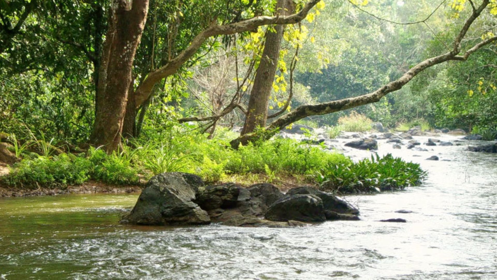 Wayanad-kuruva-island