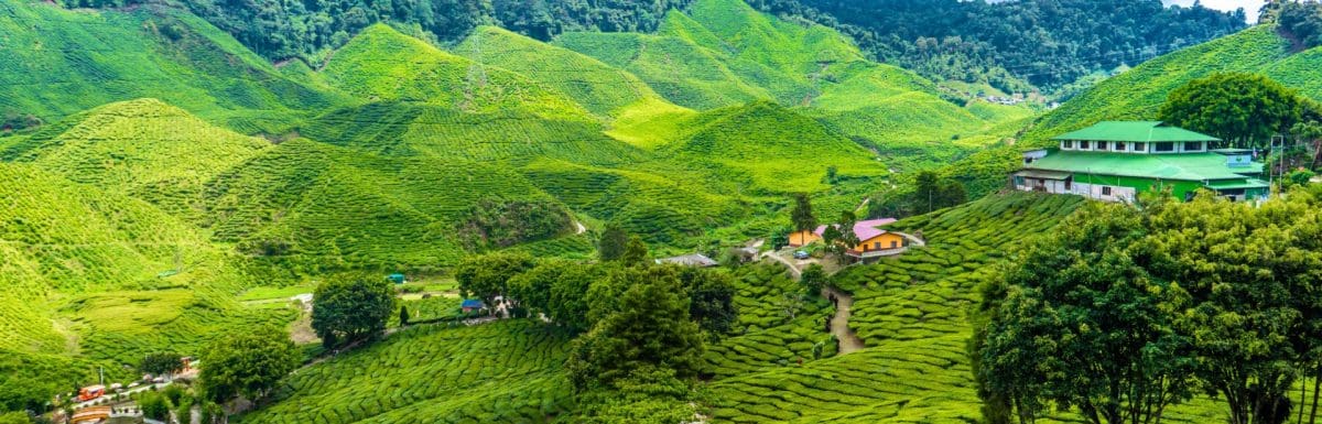 Best Family Resorts in Munnar