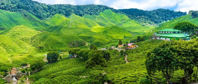 best-family-resorts-in-munnar