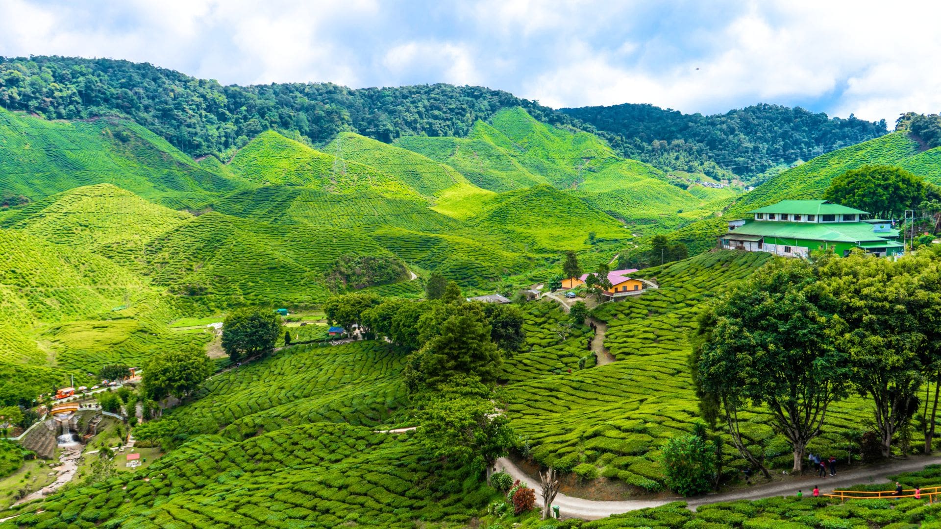 best-family-resorts-in-munnar