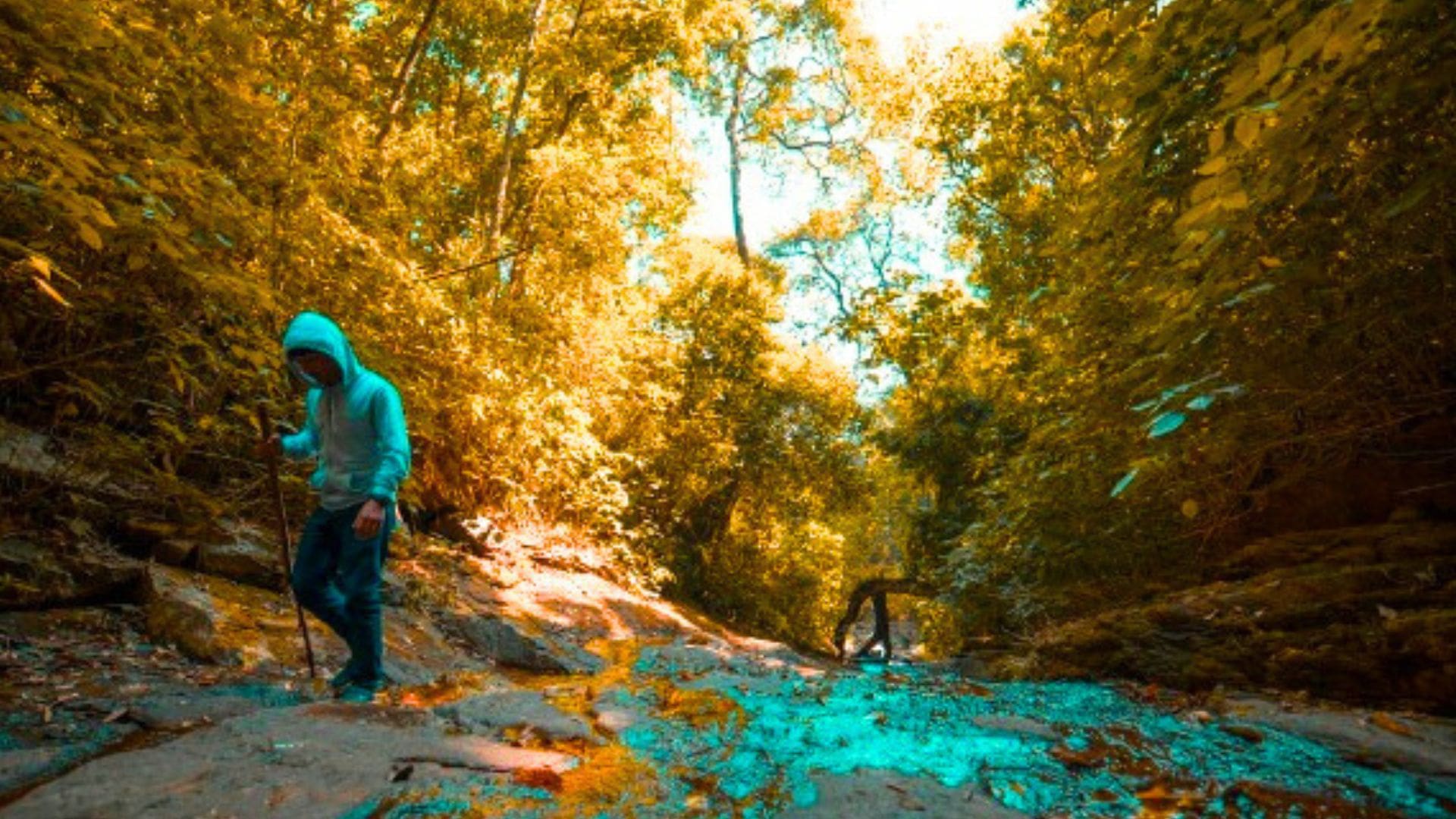 trekking-on-the-kuruva-island-wayanad.