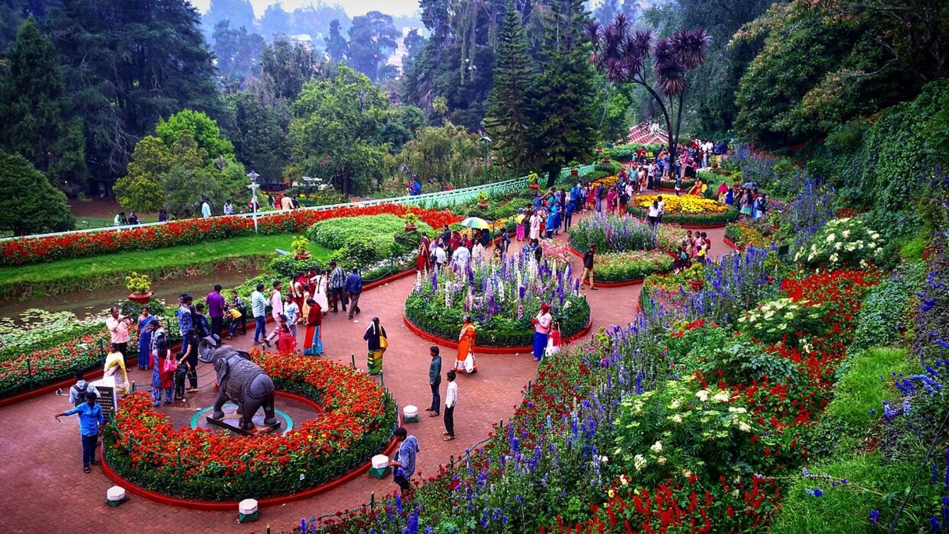 botanical-gardens-ooty