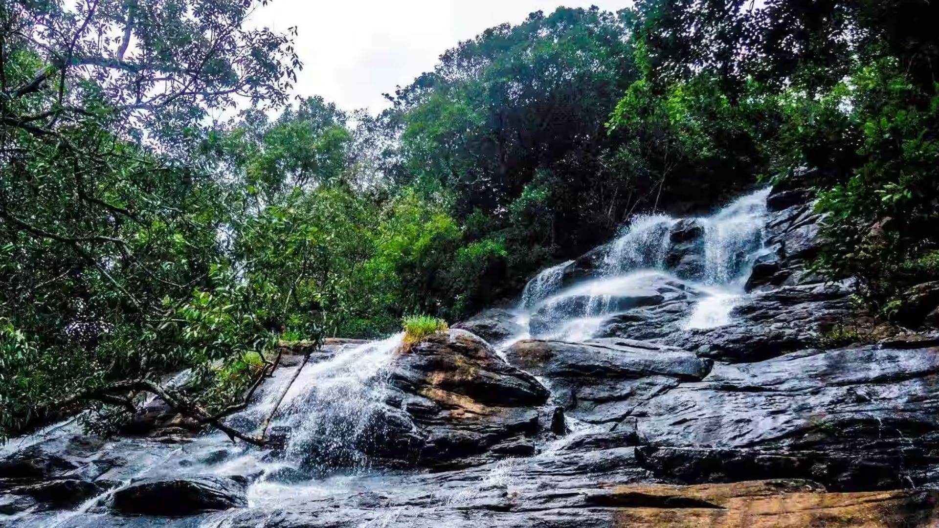killiyur-falls
