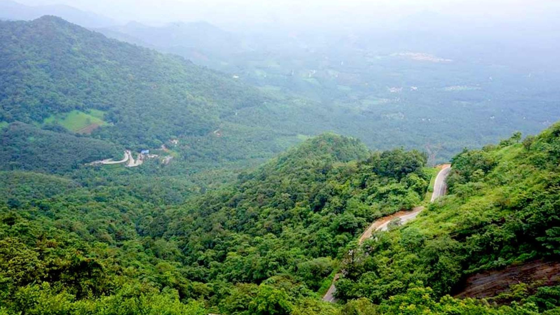 lakkidi-viewpoint-wayanad