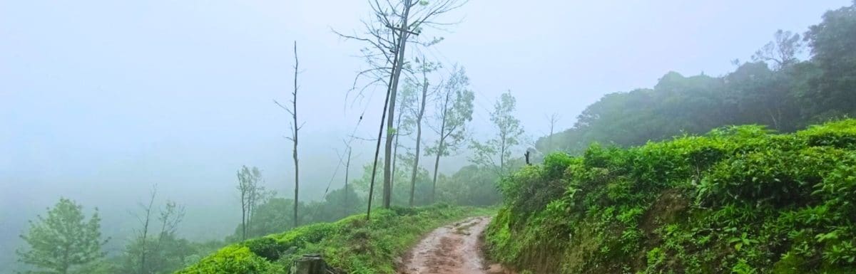 Coldest Places in South India- The Complete List