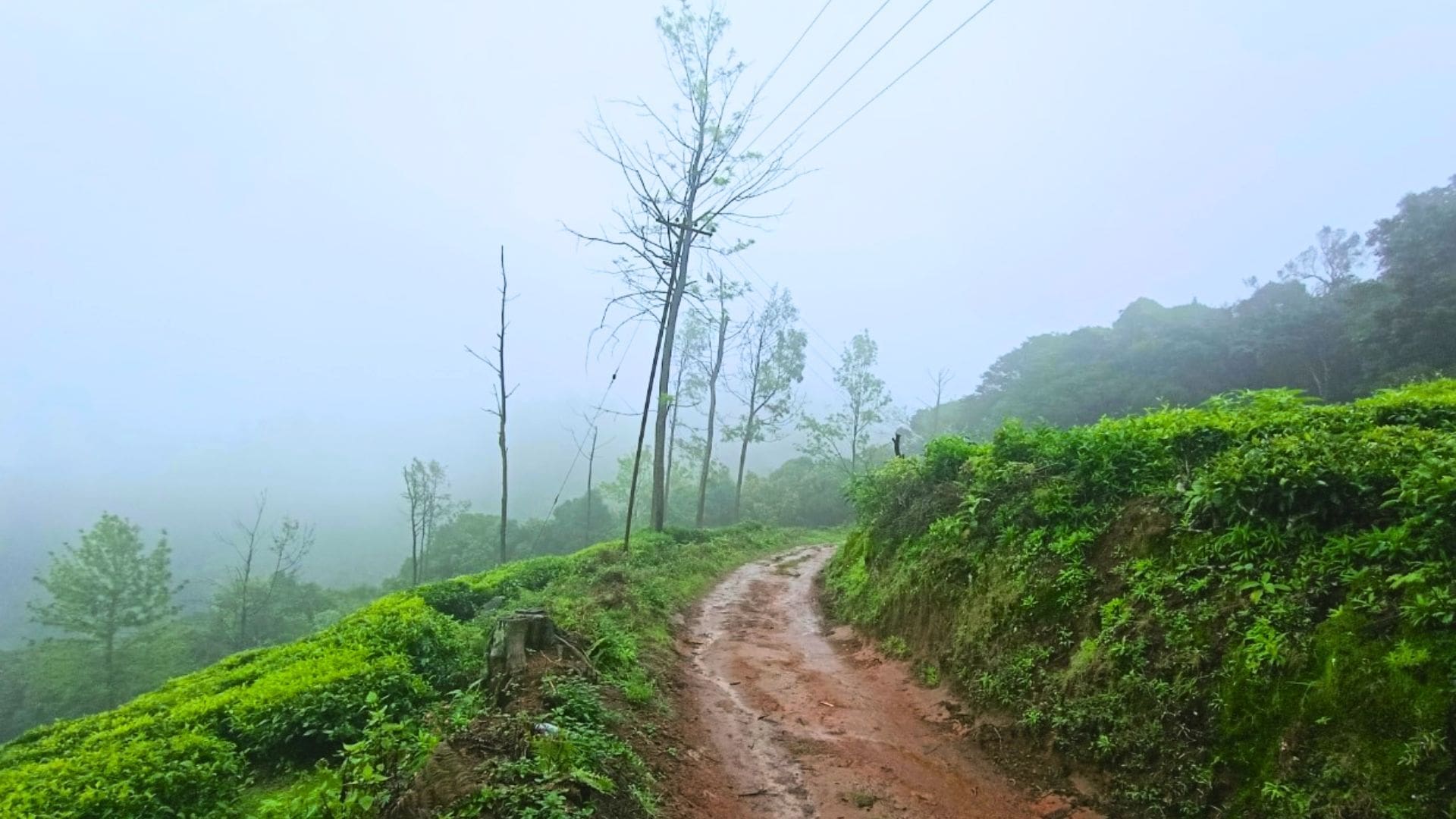 Coldest Places in South India- The Complete List
