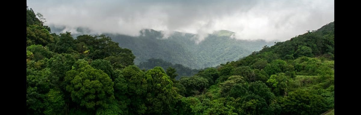 Things to do in Gavi, Kerala for a Peaceful Getaway