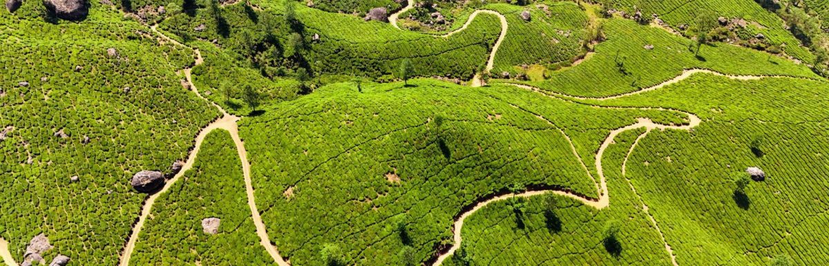 Mysore to Munnar-Distance, Taxi Fare, Travel Time & Sightseeing Tips