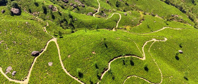 mysore-to-munnar