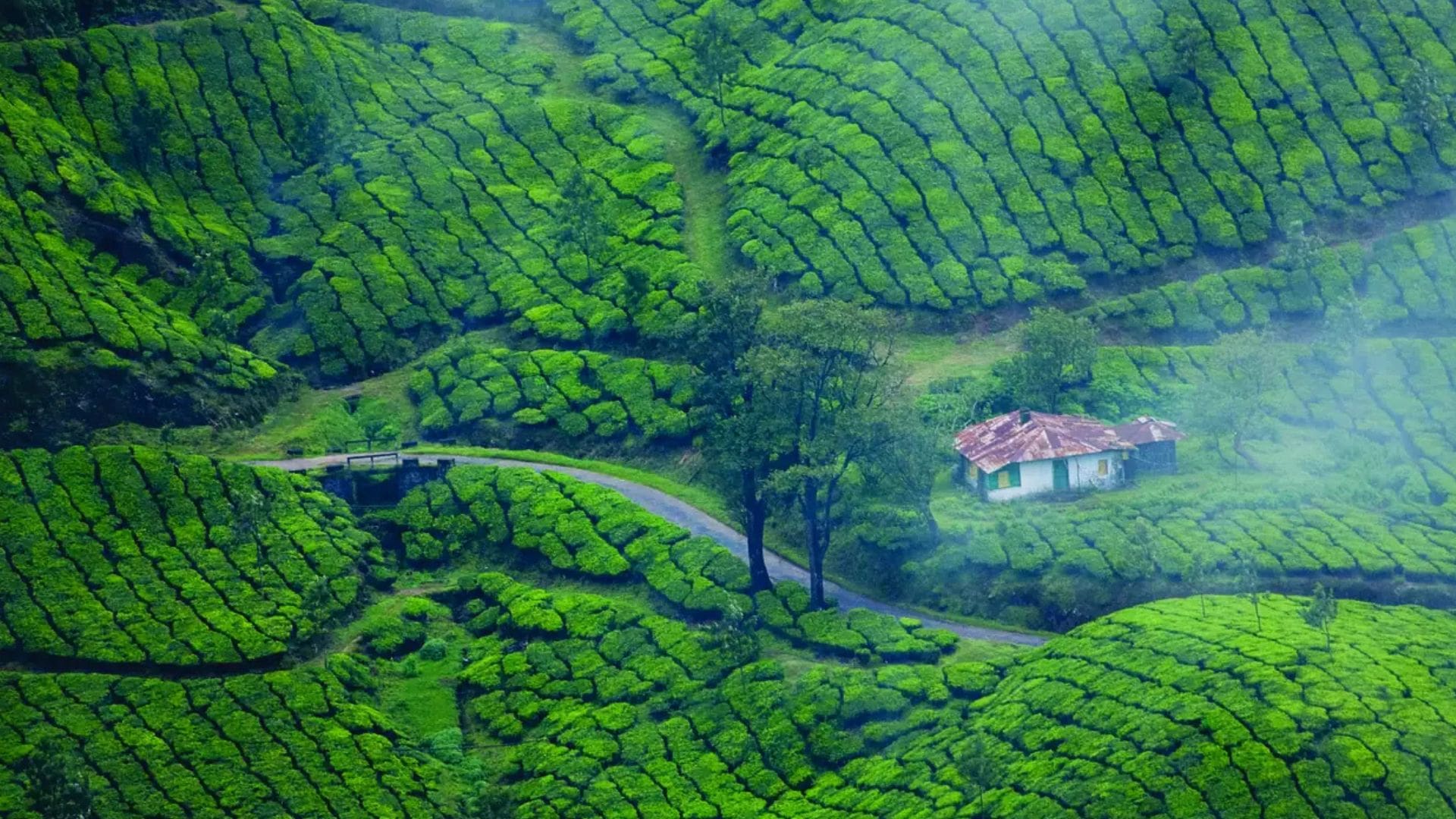 does-it-snow-in-munnar