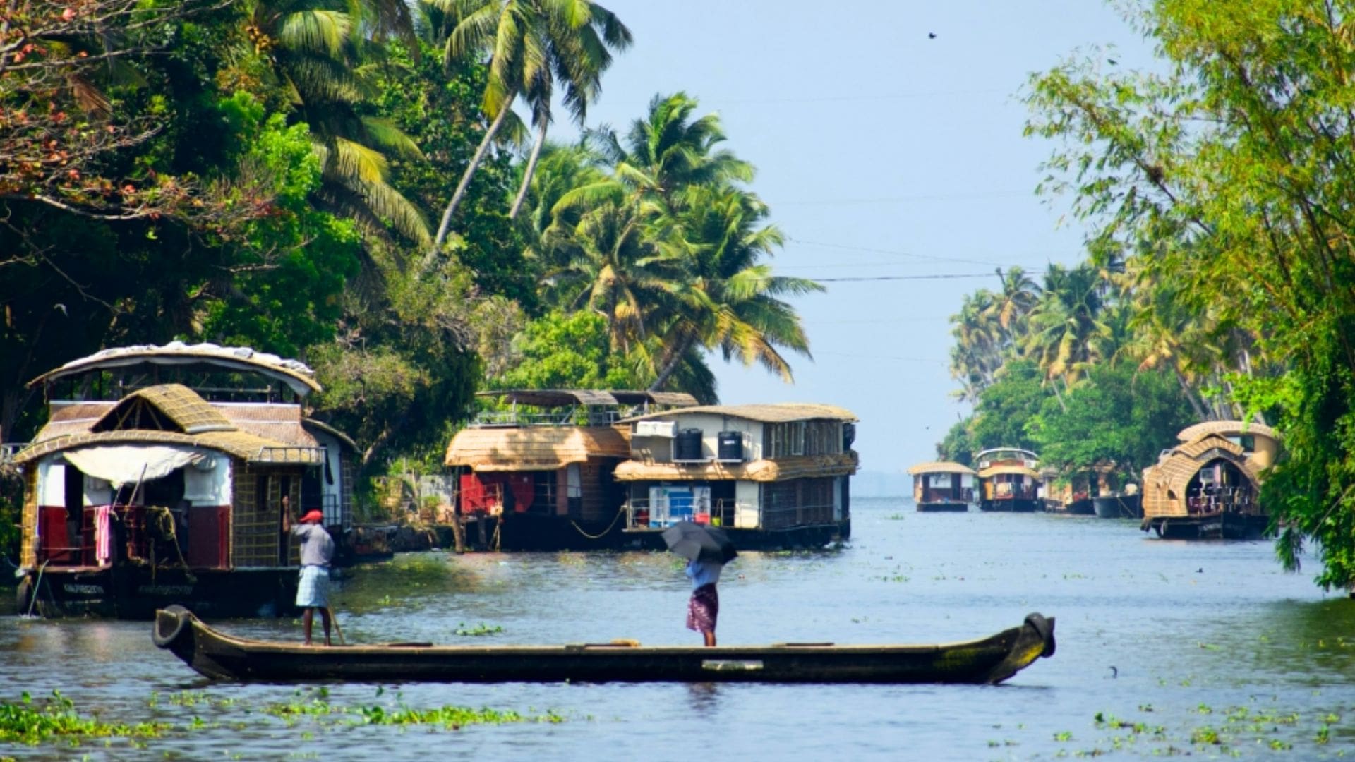 kerala-in-january