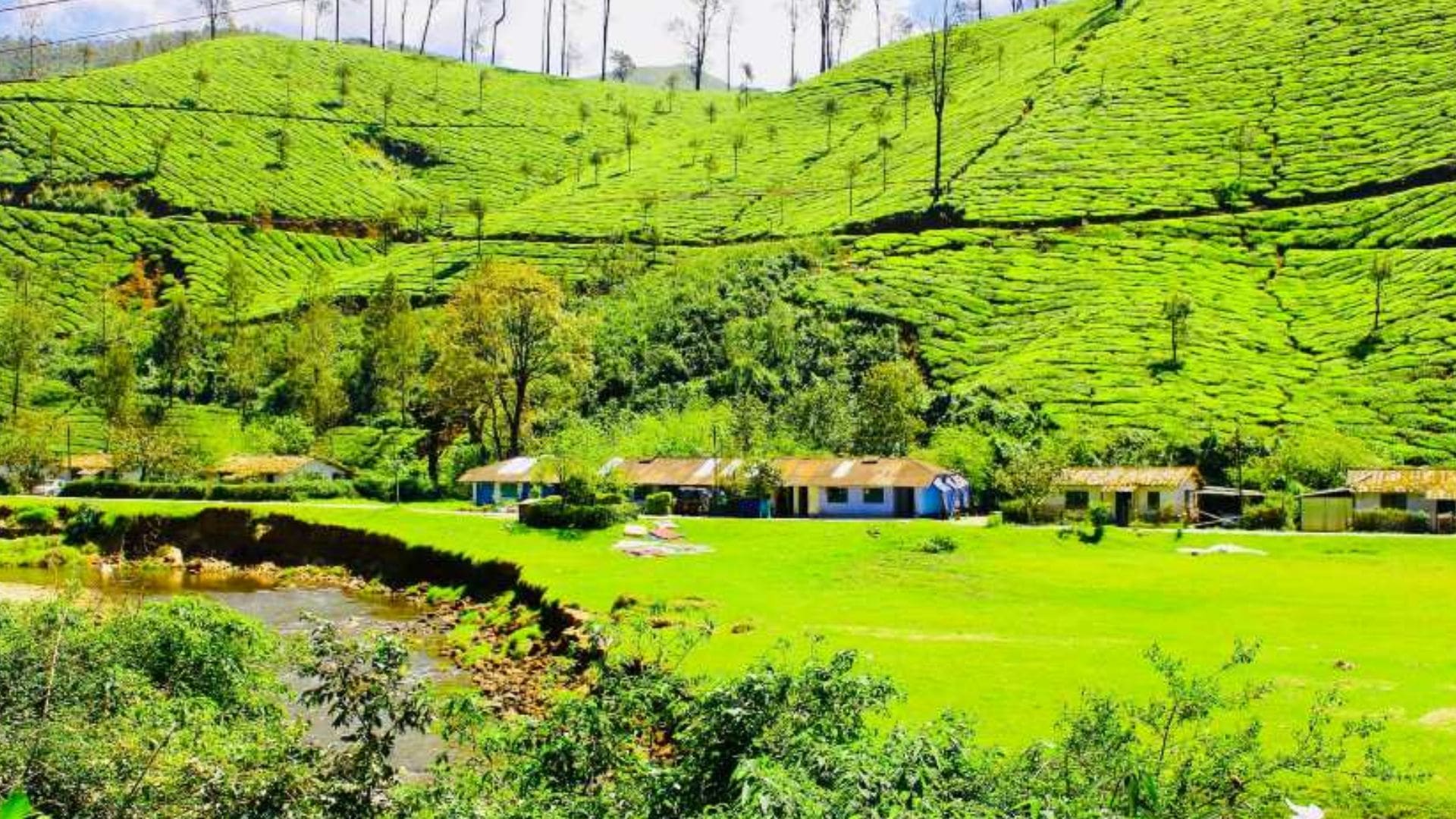 pothamedu-view-point-munnar